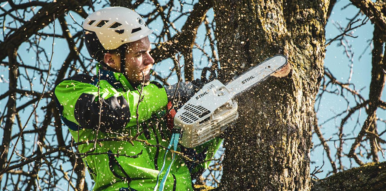 Træfældning i helsingør - sikkerhed og effektivitet i fokus